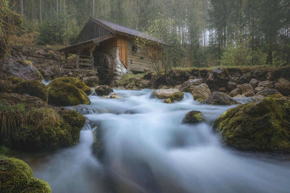 Photograph by Lara Iris