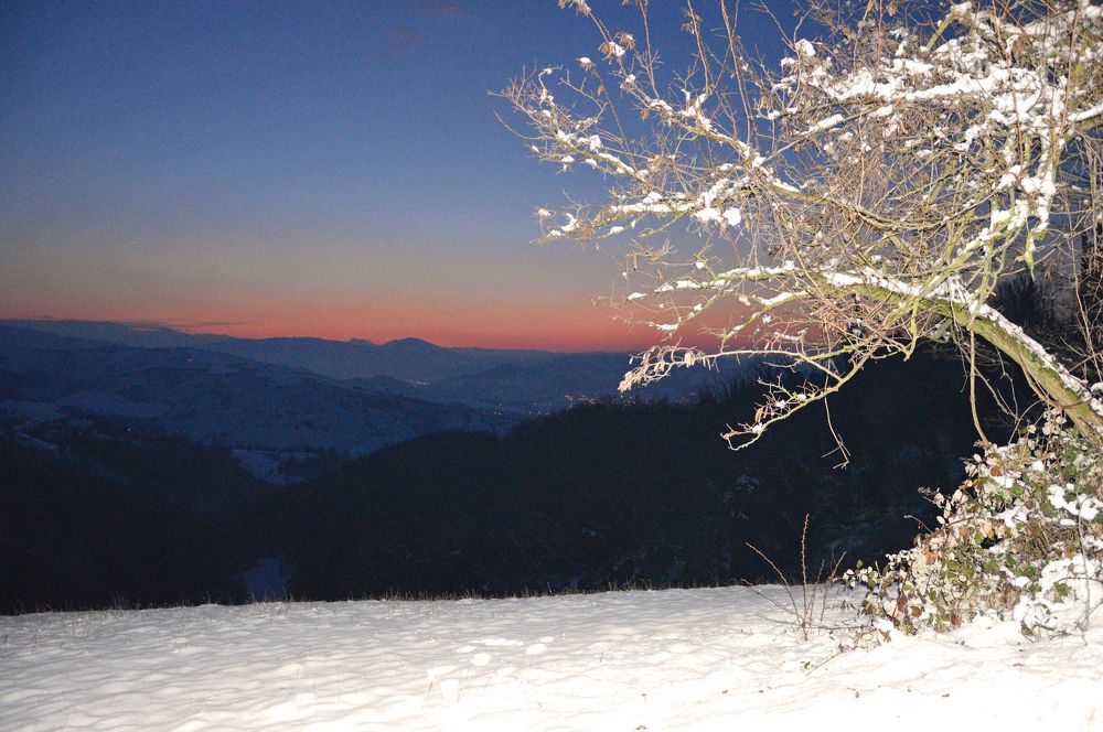 Photograph by Carlo Rondinone