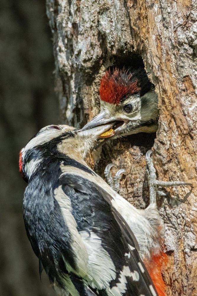 Photograph by Stamen Sotirov