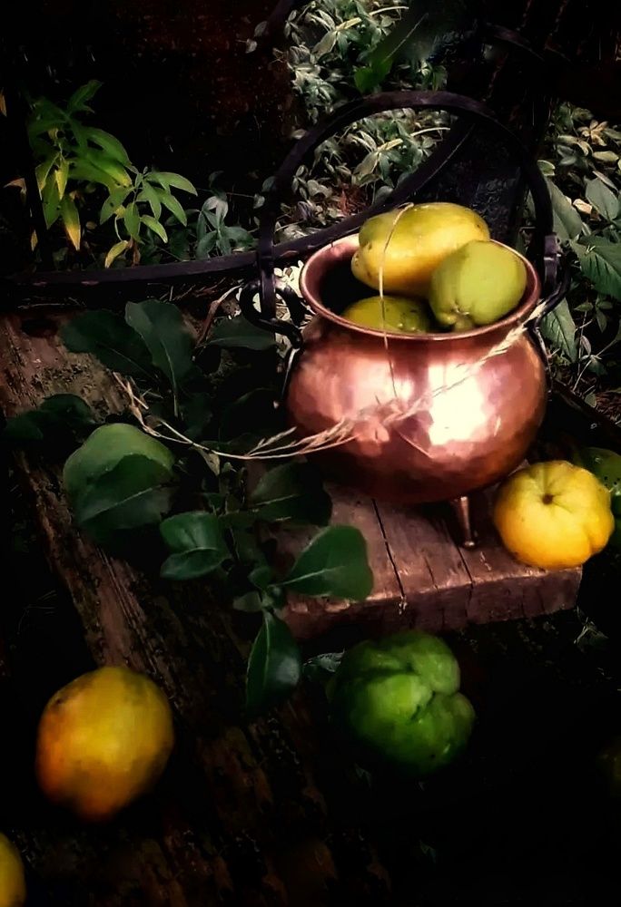 Photograph by Ирина Родионова