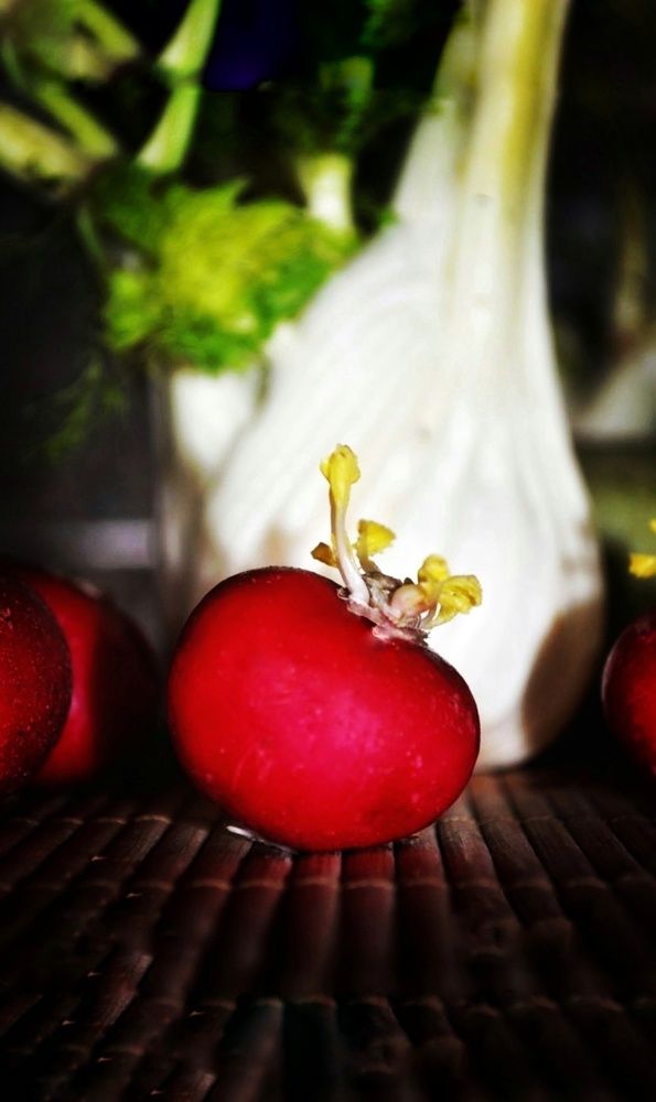 Photograph by Ирина Родионова