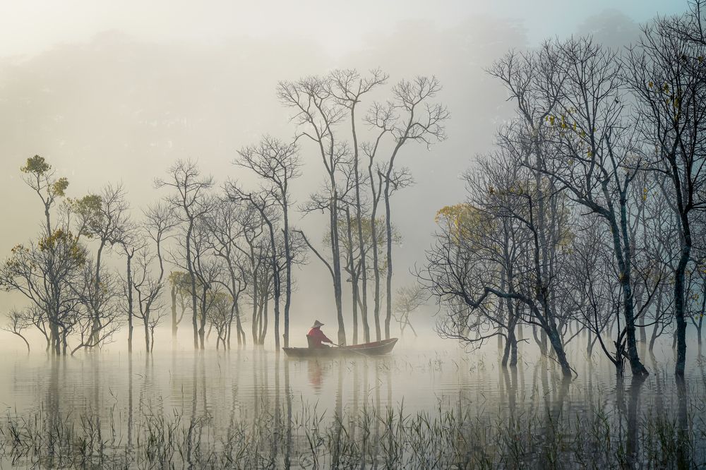 Photograph by Minh Tú Nguyễn