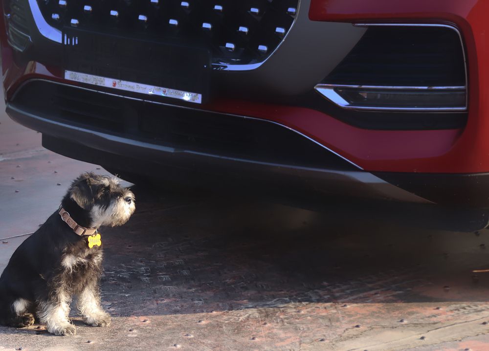 Photograph by Галина Ильясова