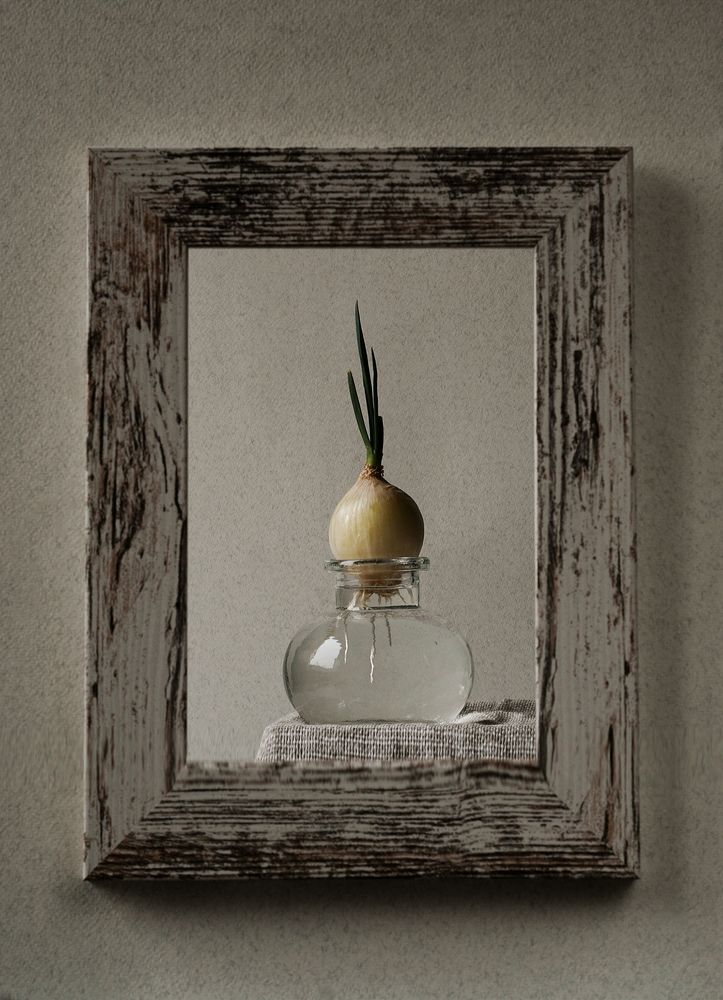 Photograph by Ольга Вороная