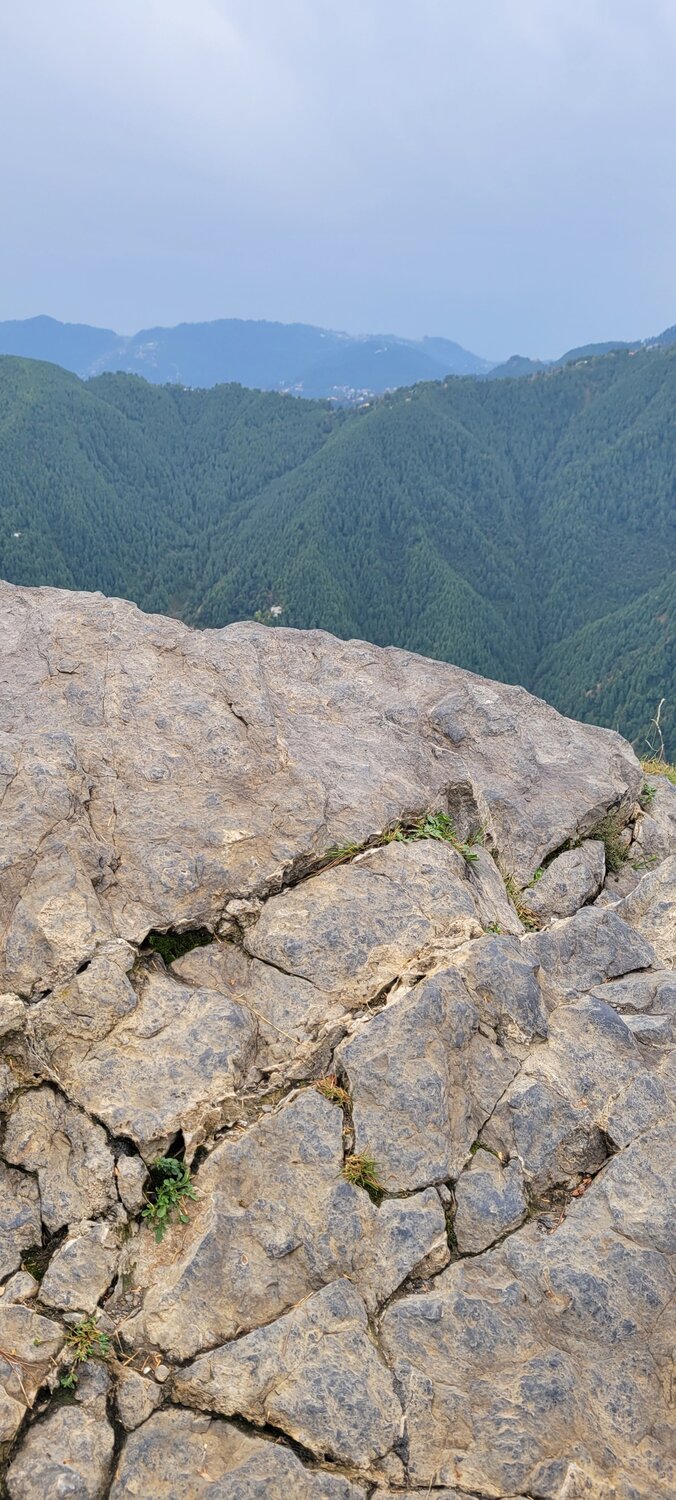 Photo #9892712