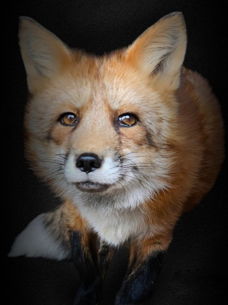 Photograph by Елена Ямнюк