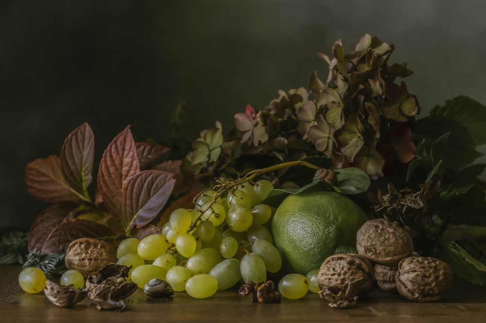 Фотография автора Irina Greinhofer