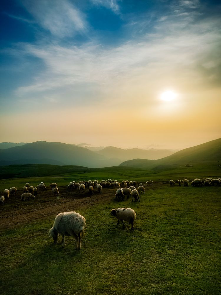 Photograph by Reza sharbaf