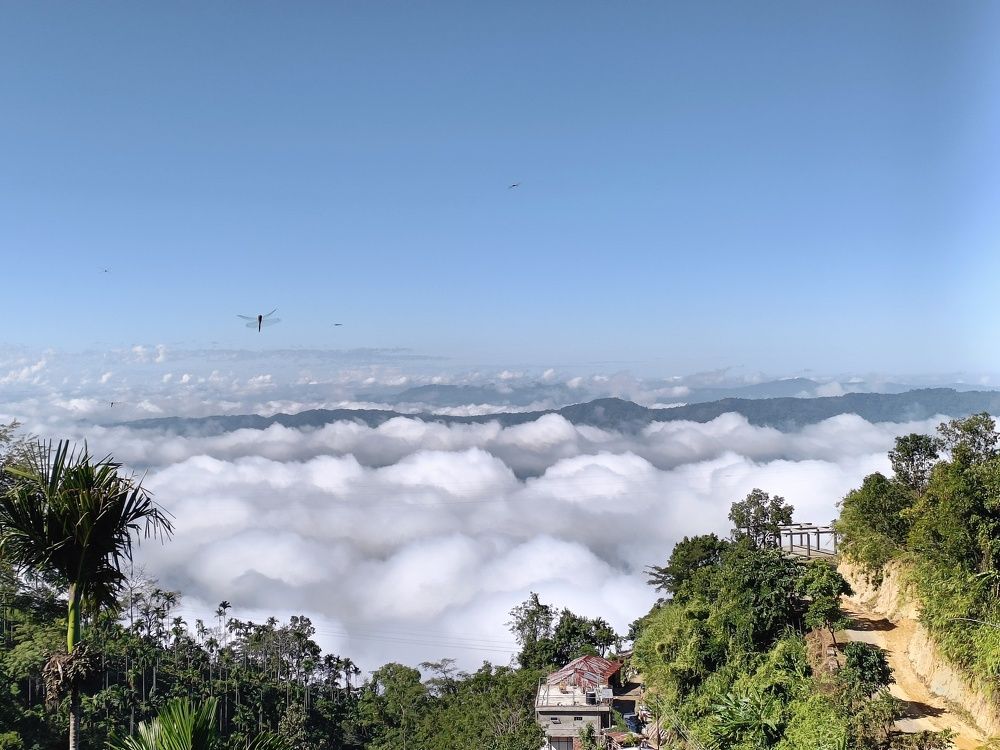 Landscape Daytime