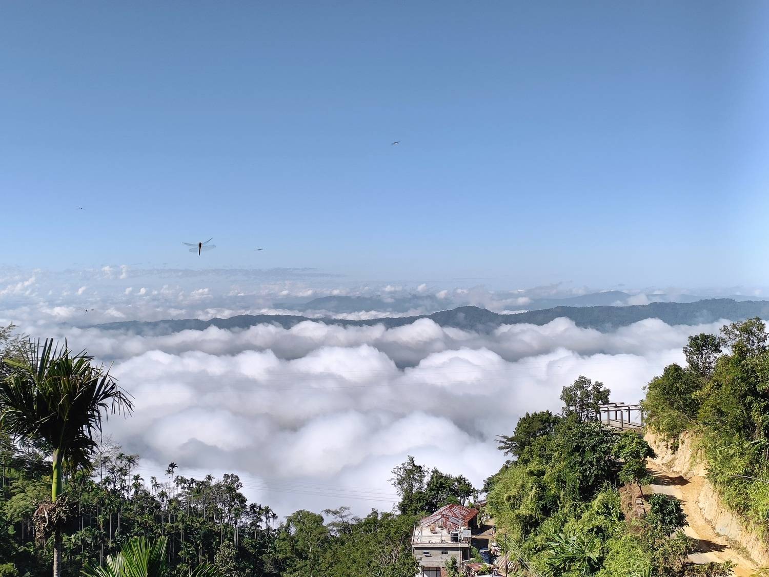 Landscape Daytime