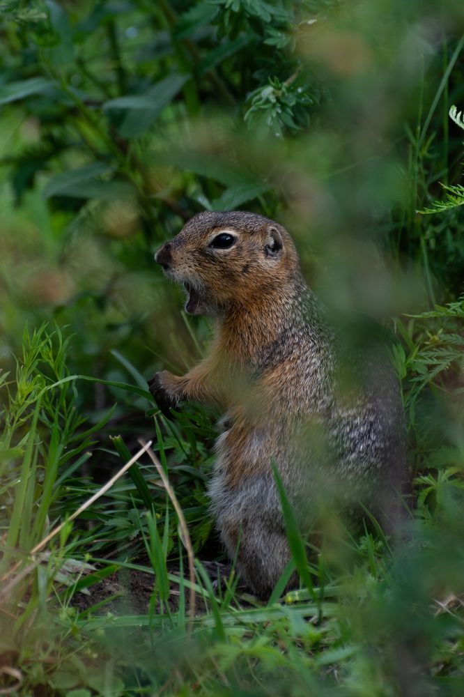 Photograph by Татьяна Шарлап