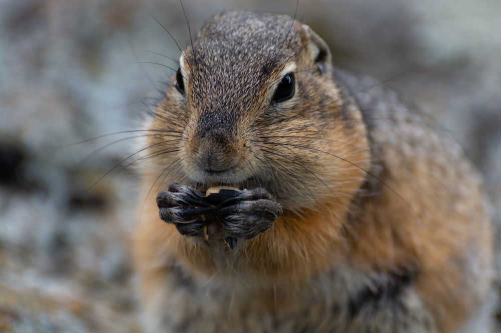 Photograph by Татьяна Шарлап