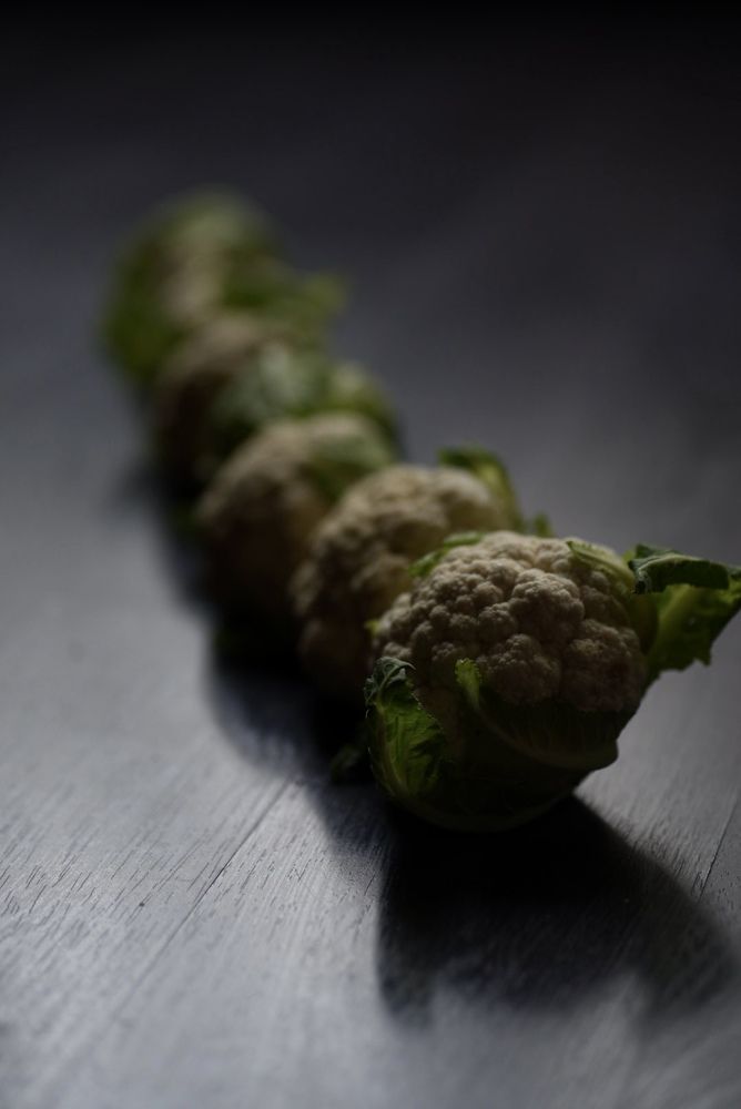 Photograph by Liubov Lagutina