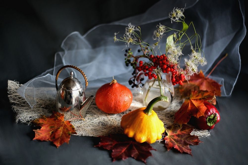 Осенний ветер.