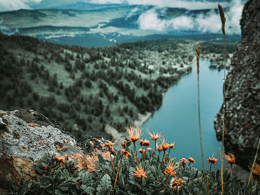 Photograph by Александра Петрова