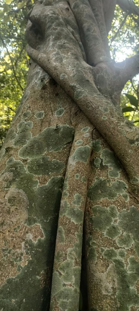 Photograph by Hari krishnajanardhana