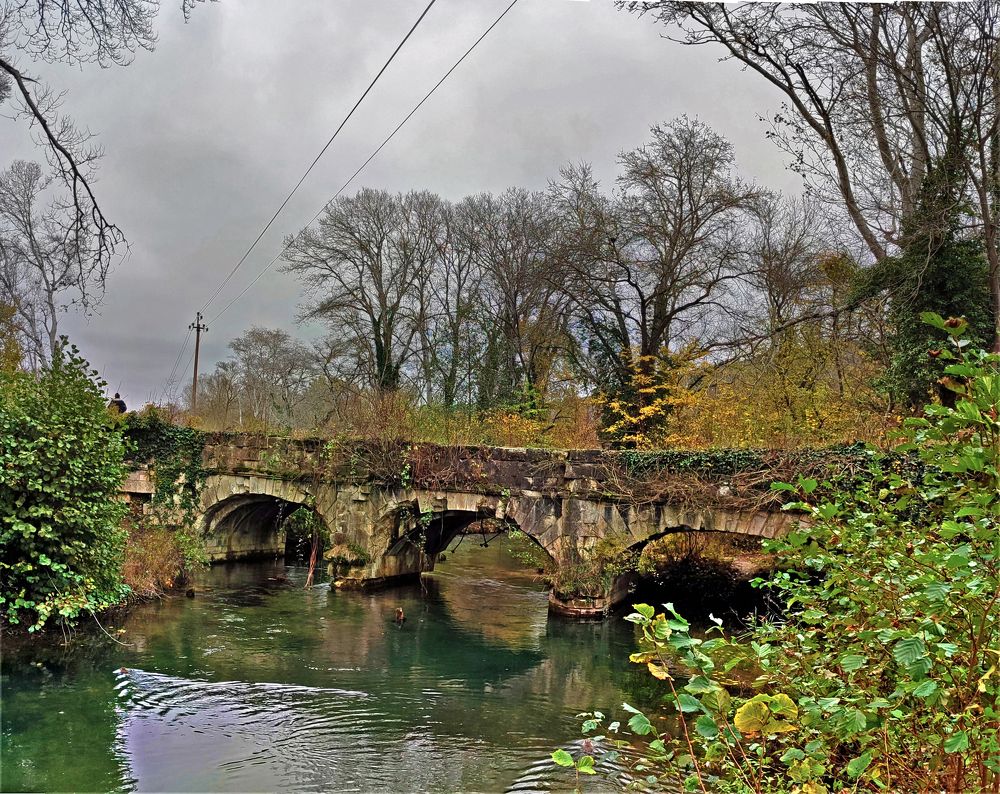 Photograph by Евгений Самулев