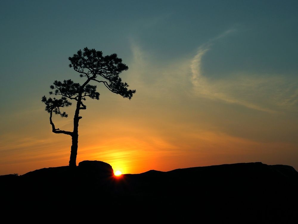 Photograph by 