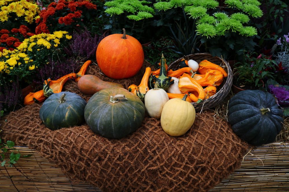 Photograph by Светлана Шуткова