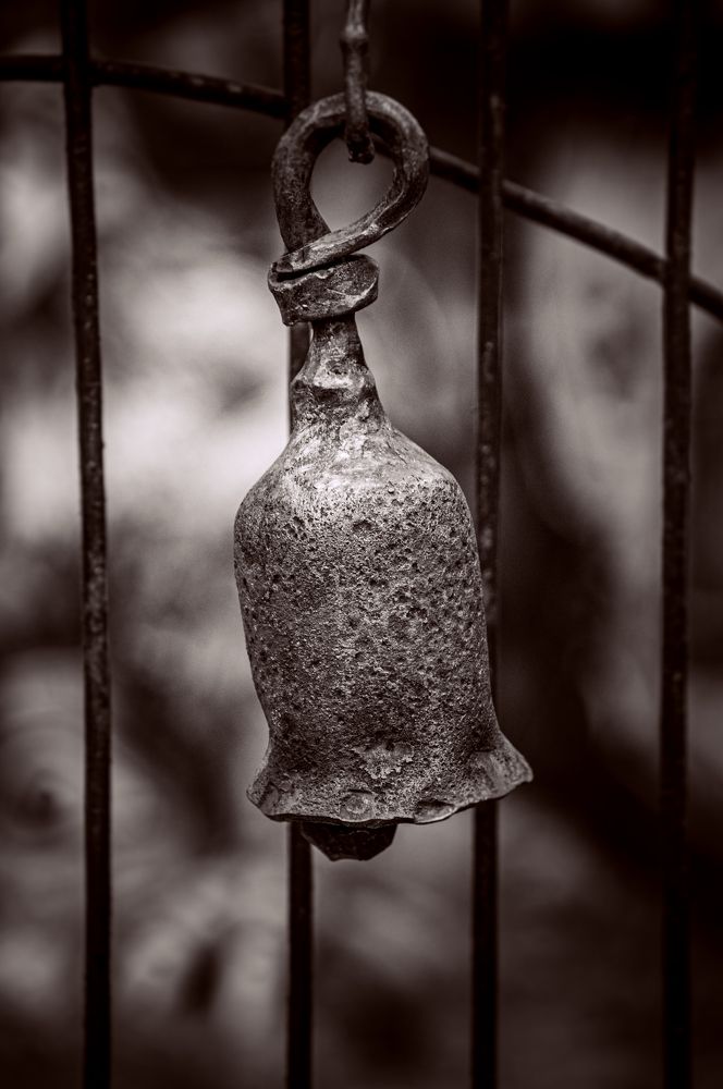 Photograph by Алексей