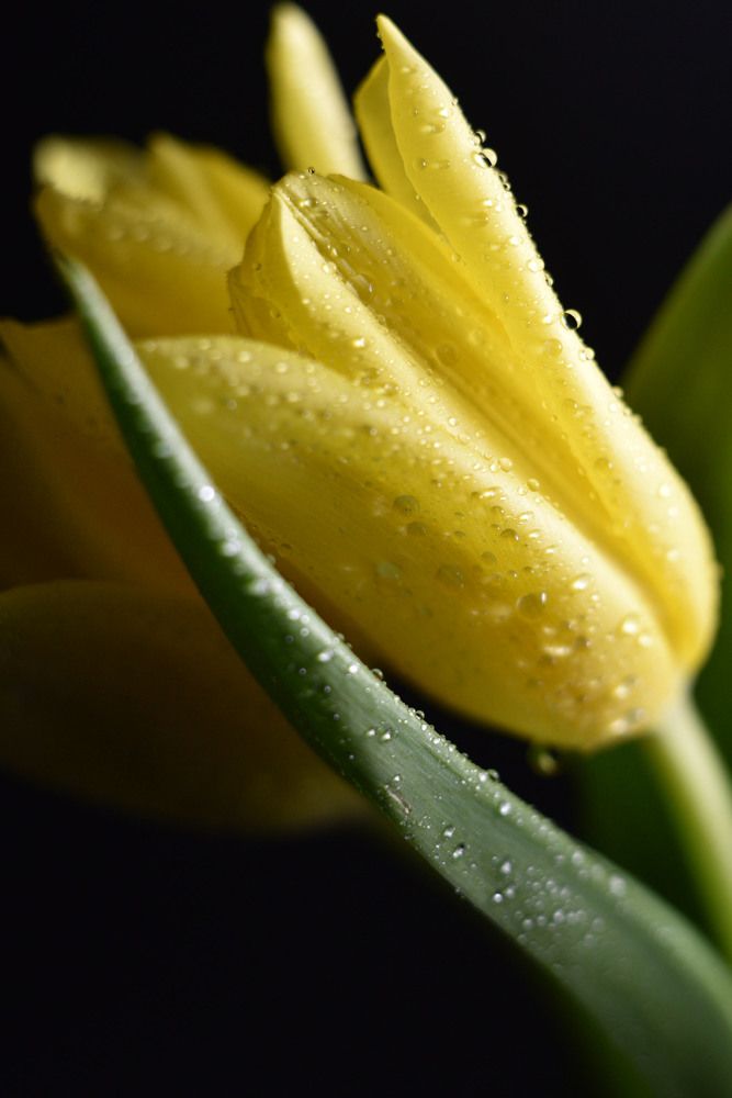 Фотография автора Анастасия Павловна