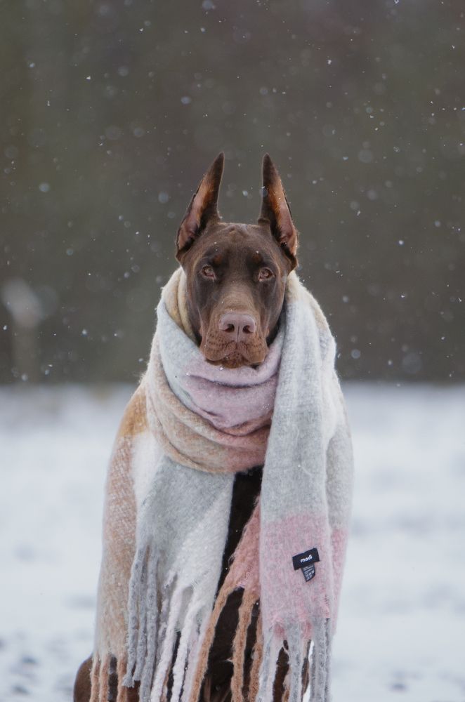 Photograph by Мария