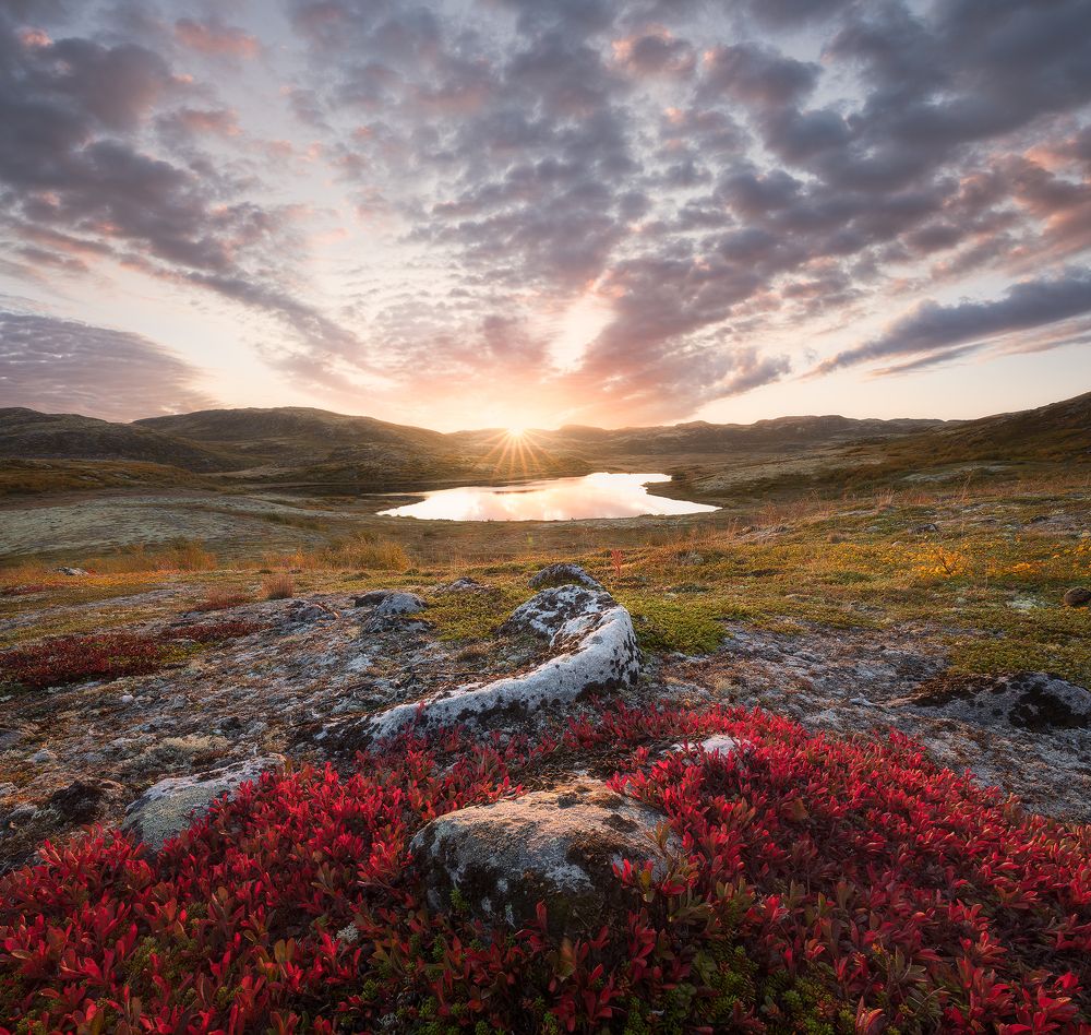 Рассвет в тундре