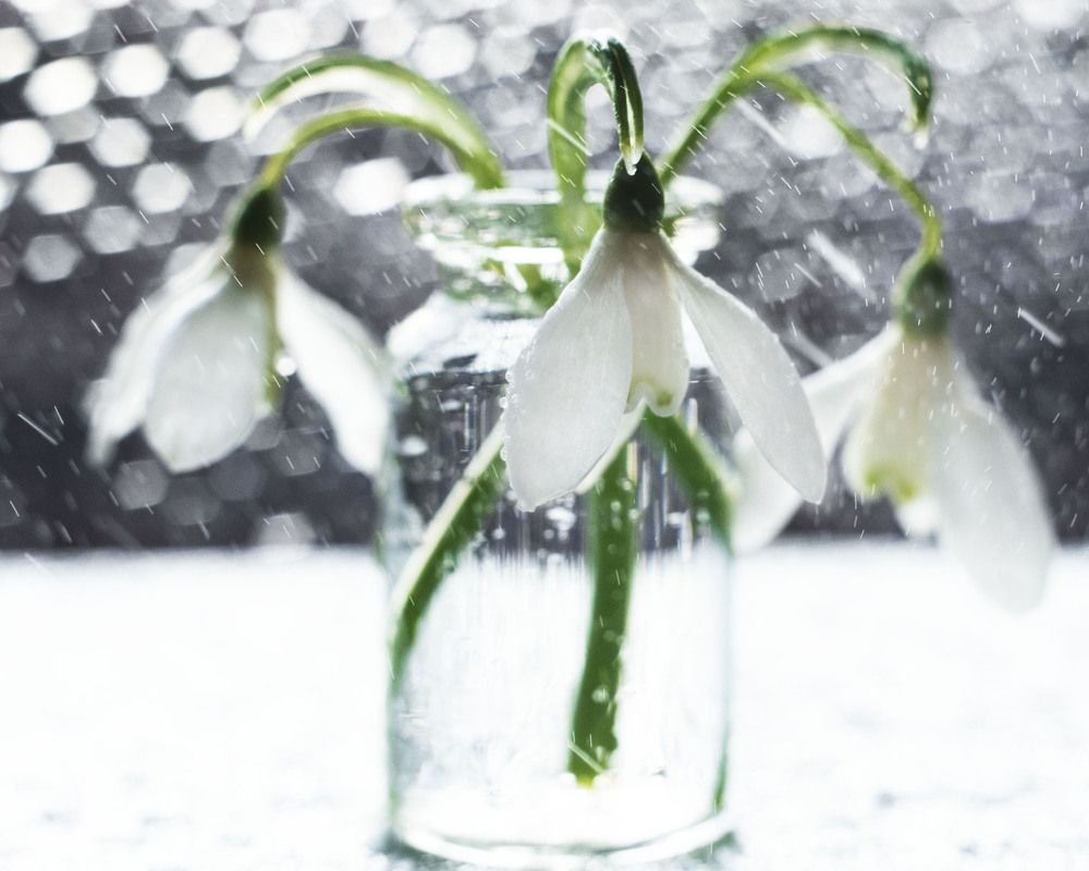 Фотография автора Анастасия Павловна