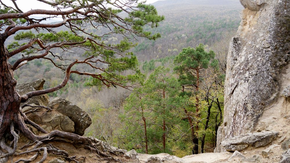 Photograph by Алексей Киселев