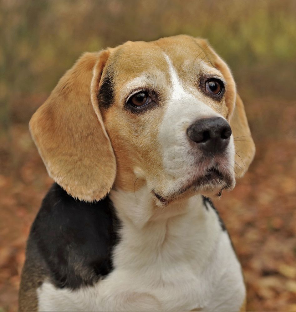 Photograph by Анастасия Рысь