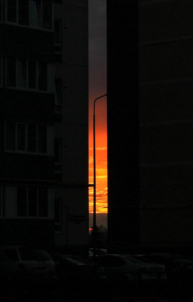 Photograph by Наталья Муравейко