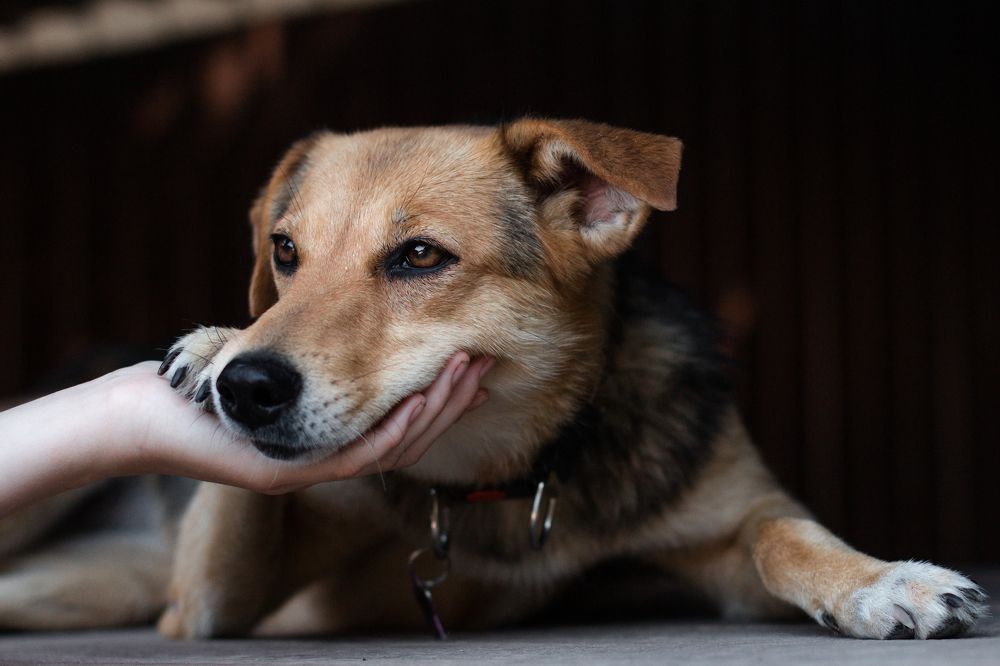 Photograph by Natasha Stugireva