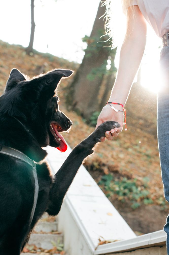 Photograph by Natasha Stugireva