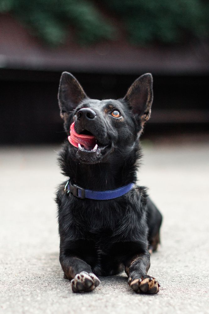 Photograph by Natasha Stugireva