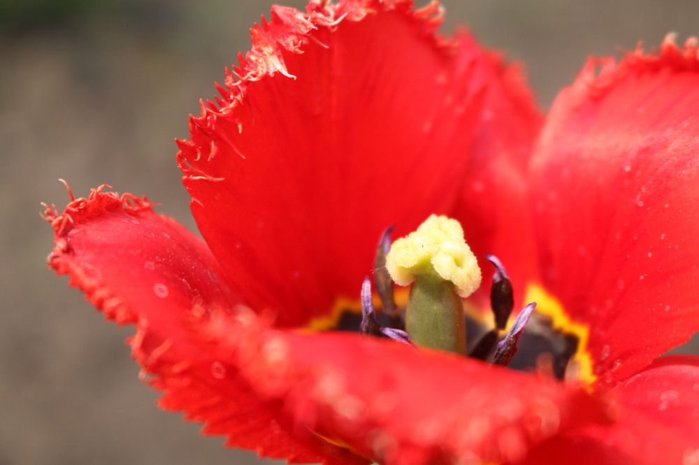 Photograph by Софья Белоногова