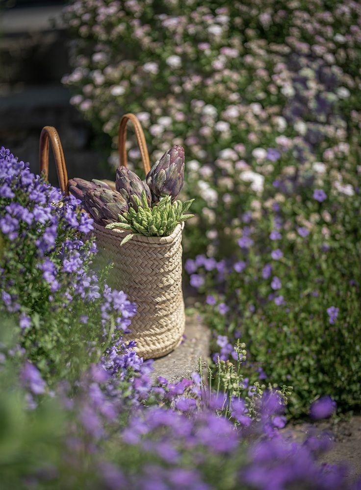 Photograph by Mila Laine