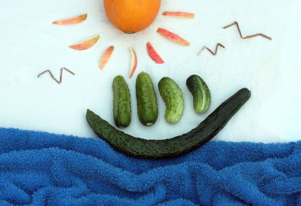 поплыли на юг!