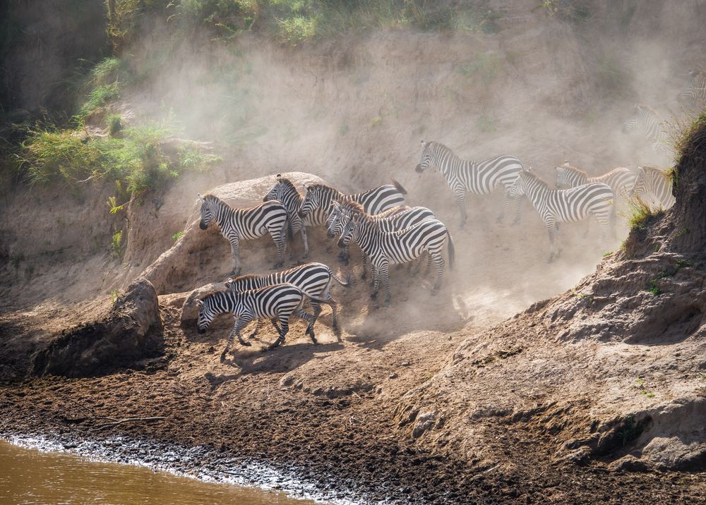 Photograph by Дария Максимова