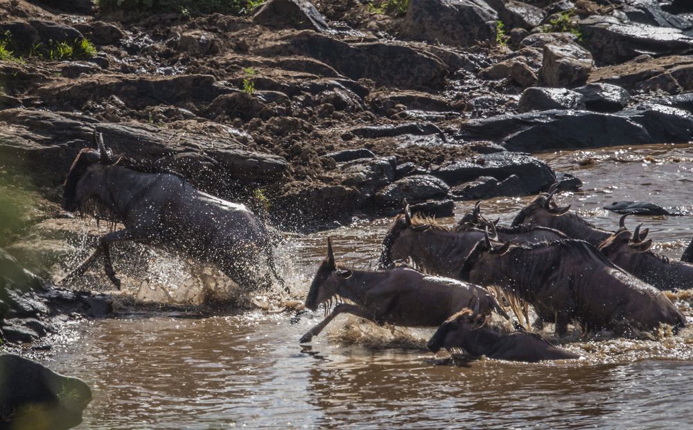Photograph by Дария Максимова