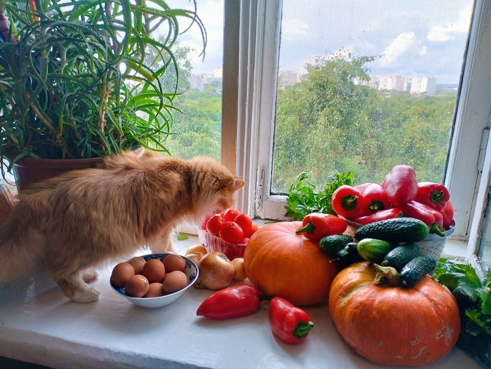 Photograph by Надежда Болтунова