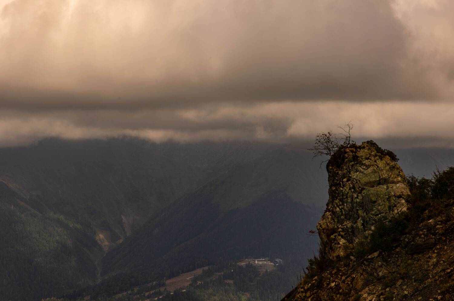 Photo #9893585