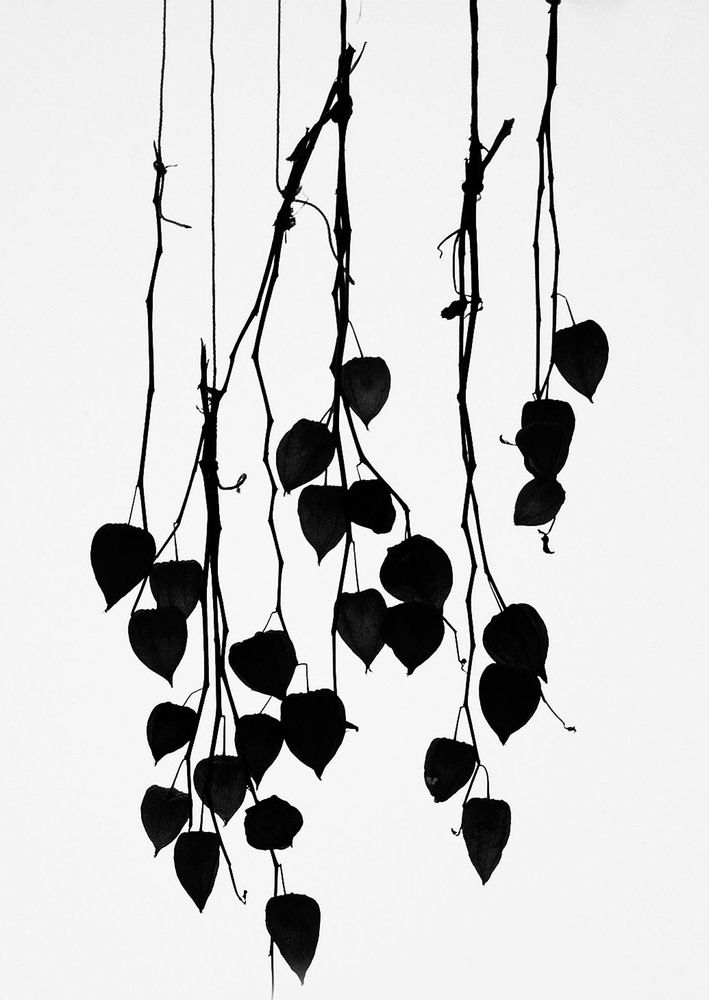 Photograph by 