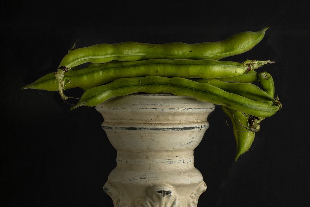 Photograph by Rosanna Mannino