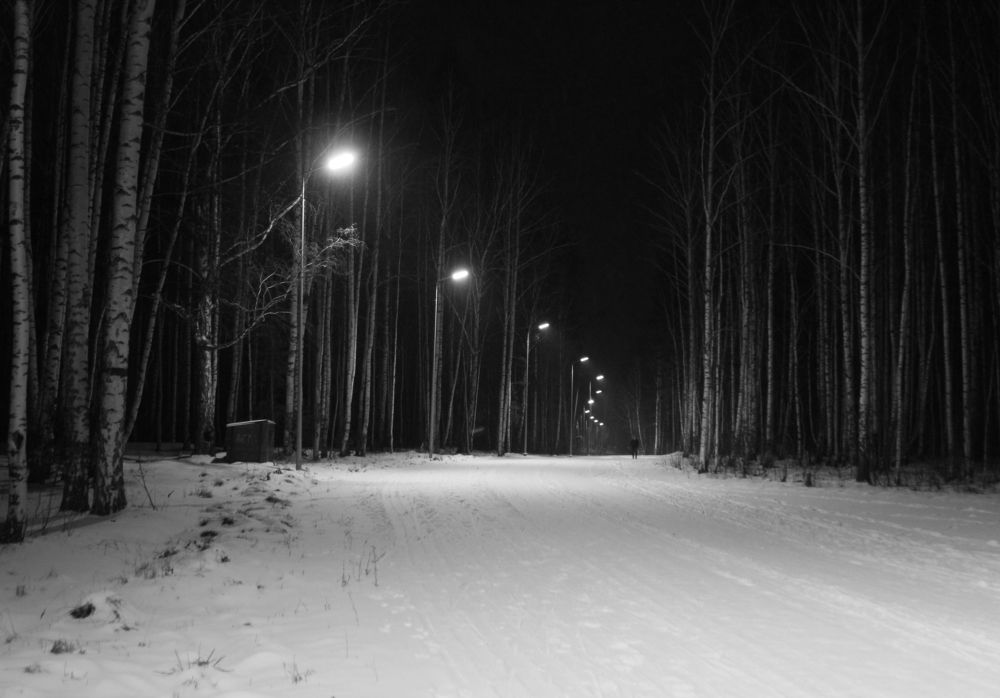 Photograph by Баженова Наталья