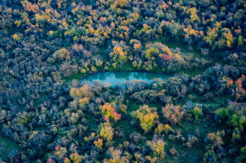 Photograph by Yuli Lerou