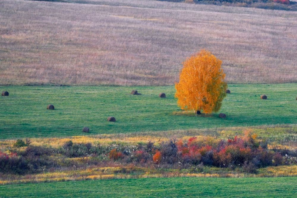 Photograph by Yuli Lerou