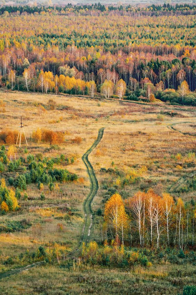 Photograph by Yuli Lerou