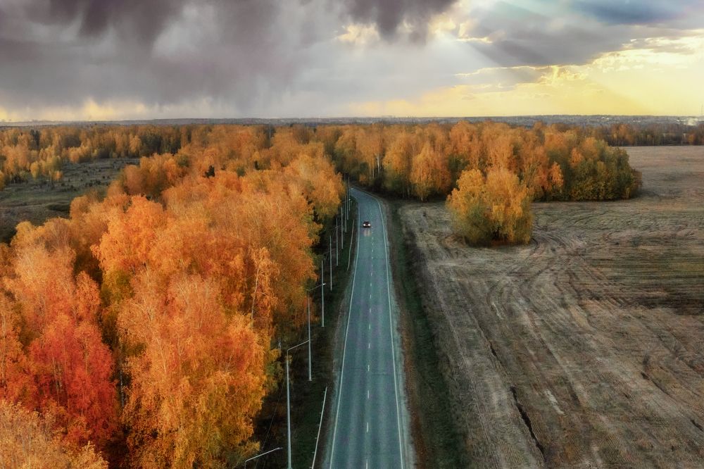 Photograph by Yuli Lerou