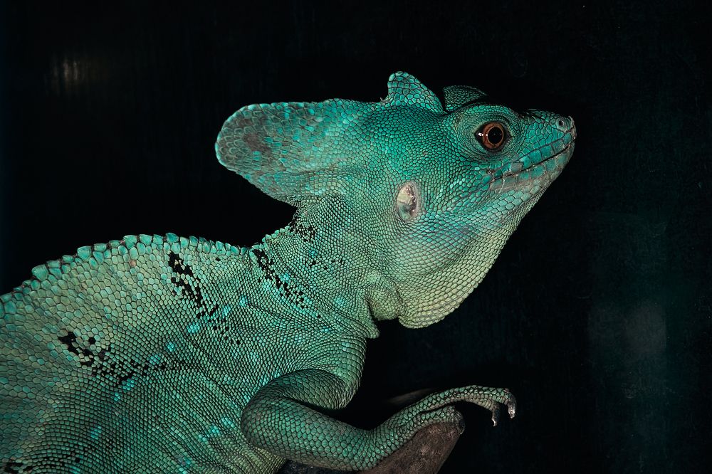 Photograph by Yuli Lerou