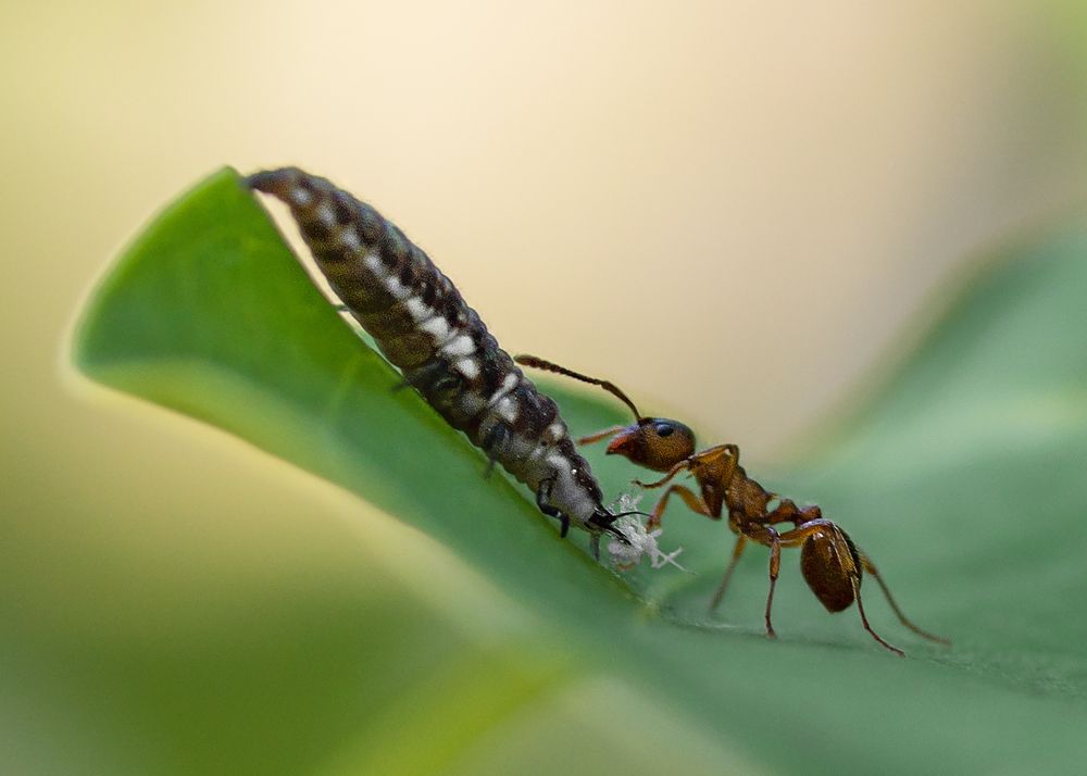 Photograph by Степанов Виктор